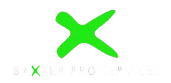 Baxter Pro Services Small Nav Logo